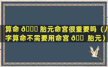 算命 🐛 胎元命宫很重要吗（八字算命不需要用命宫 🐠 胎元）